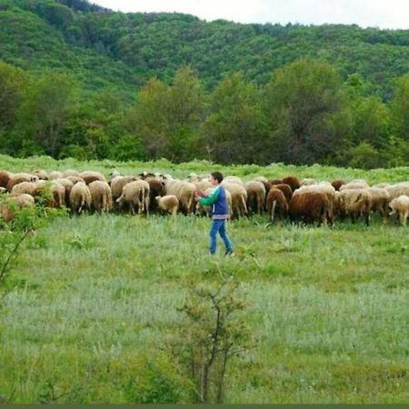 Ранчо Бандера Βίλα Tservenyano Εξωτερικό φωτογραφία